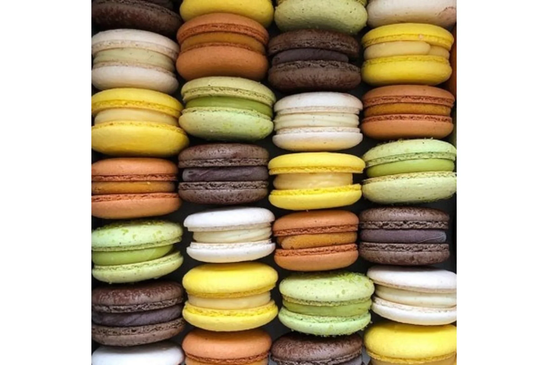 Макарон (Ксения Нохрина), фото 1 из 1.