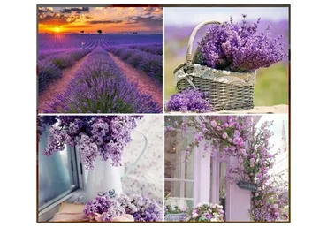 [Студия Живописи] Прованс. Пакет  Минимальный (Ольга Базанова)