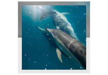 [Mitra-Varuna School] Саптамша Варга (Анна Ласточкина)