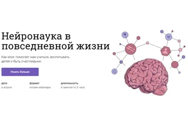 [Синхронизация] Нейронаука в повседневной жизни (Вячеслав Дубынин, Полина Кривых)