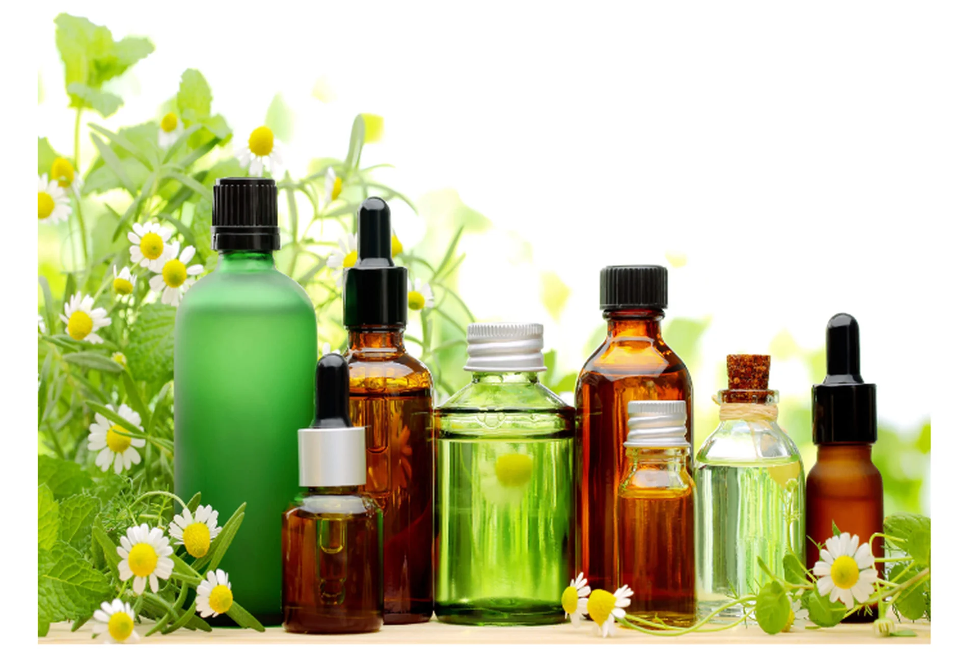 Ароматерапия и Гидролатотерапия (Ульвия Голденбрук), фото 1 из 1.