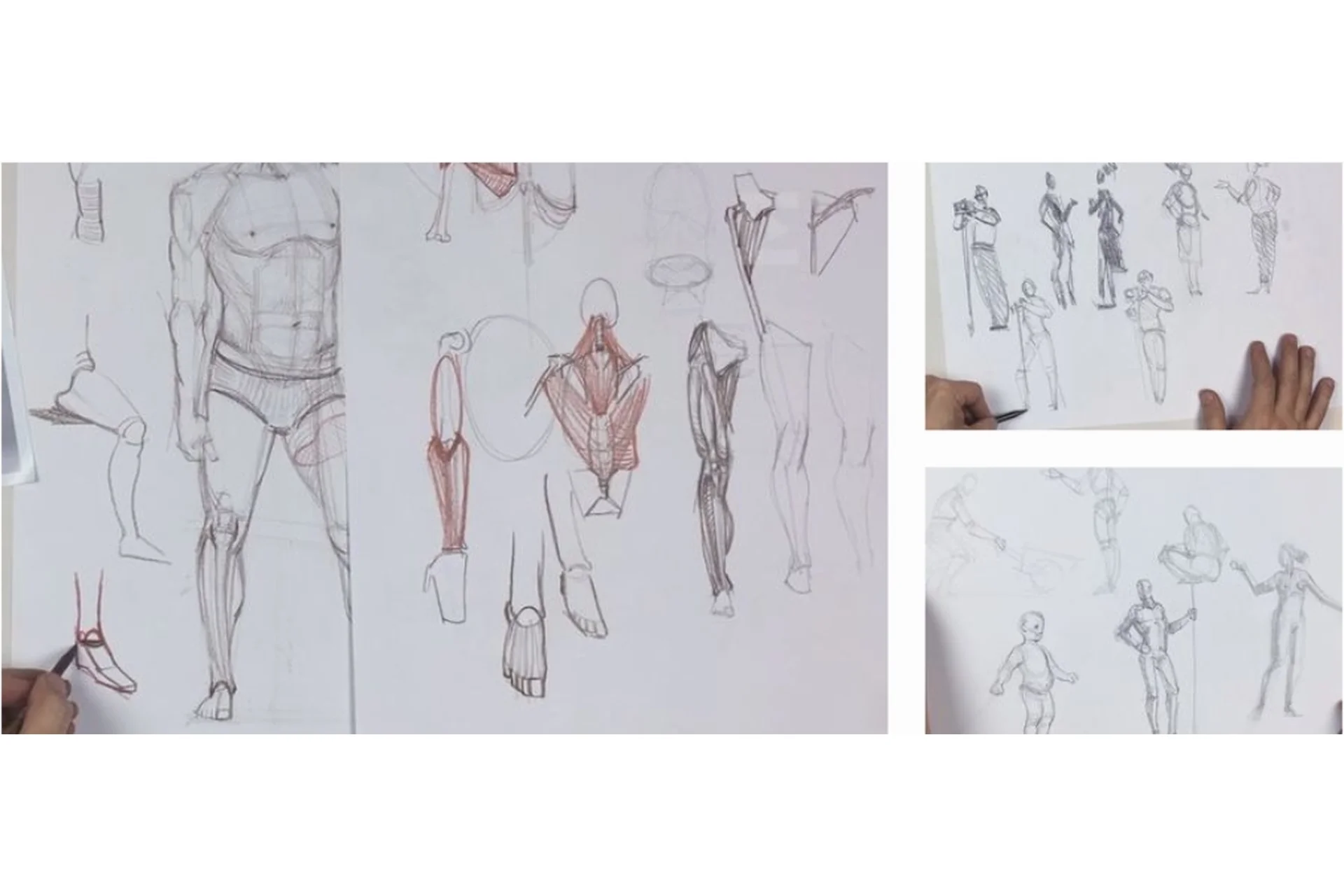 [Enterclass] Основы анатомии. Курс по рисованию фигуры человека (Лев Каплан), фото 1 из 1.