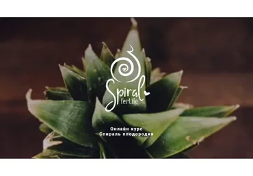 Спираль плодородия. Ноябрь 2019 (Лиза Мока)