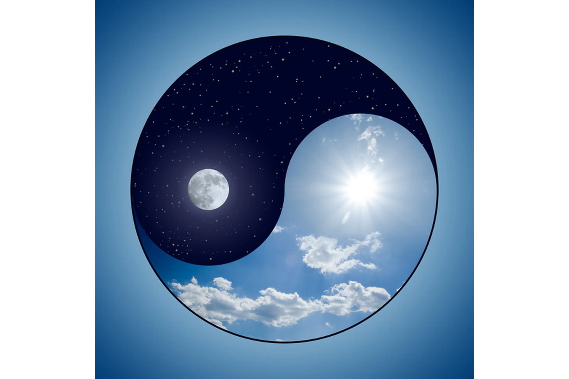 [Центр Аллы Алиции Хшановской] Векторный Портрет - благо или зло для владельца (Ирина Бердина), фото 1 из 1.