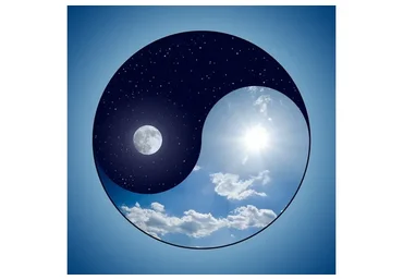 [Центр Аллы Алиции Хшановской] Векторный Портрет - благо или зло для владельца (Ирина Бердина)