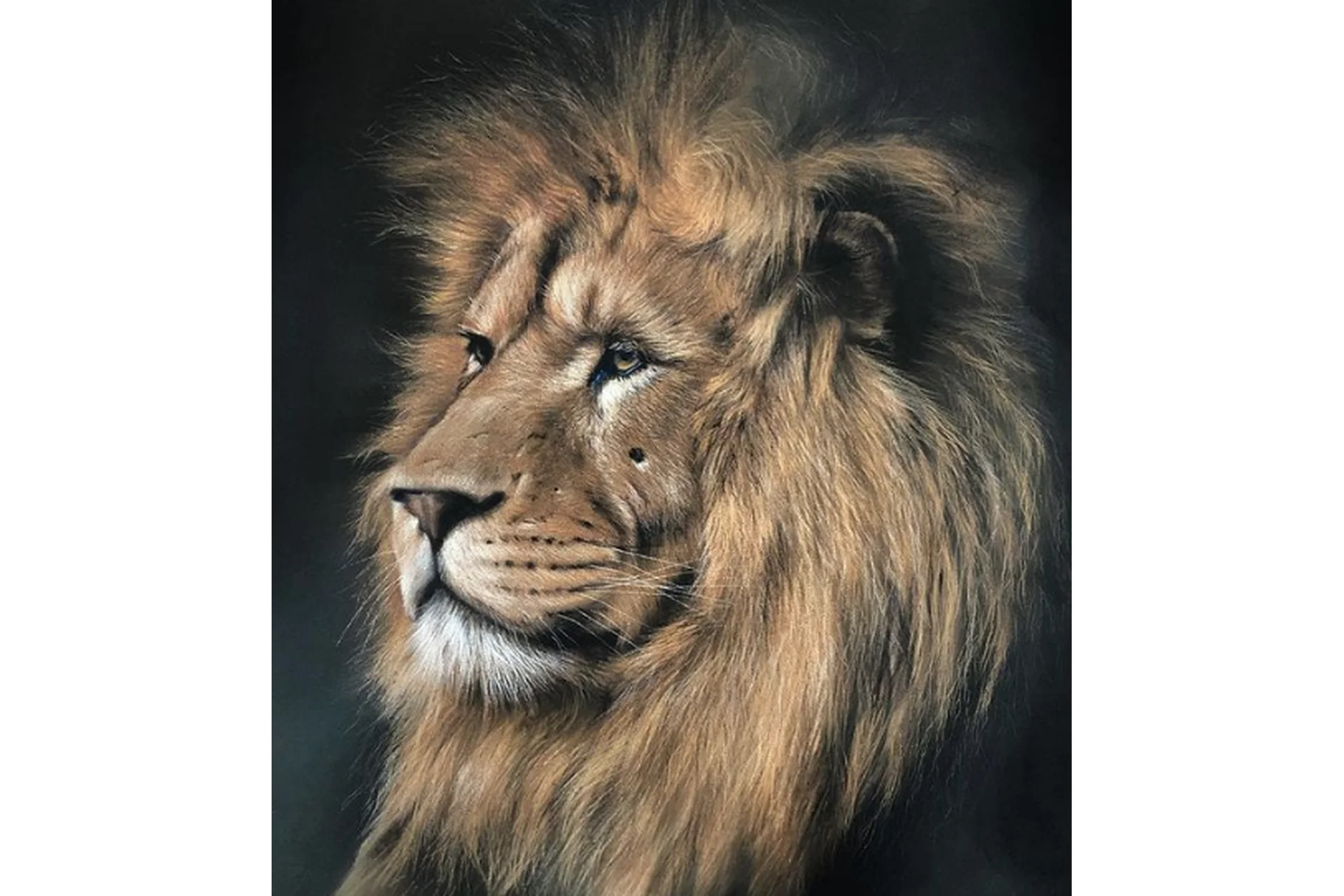 Король лев. Тариф С Ирой на год (Ирина Кукрусова), фото 1 из 1.