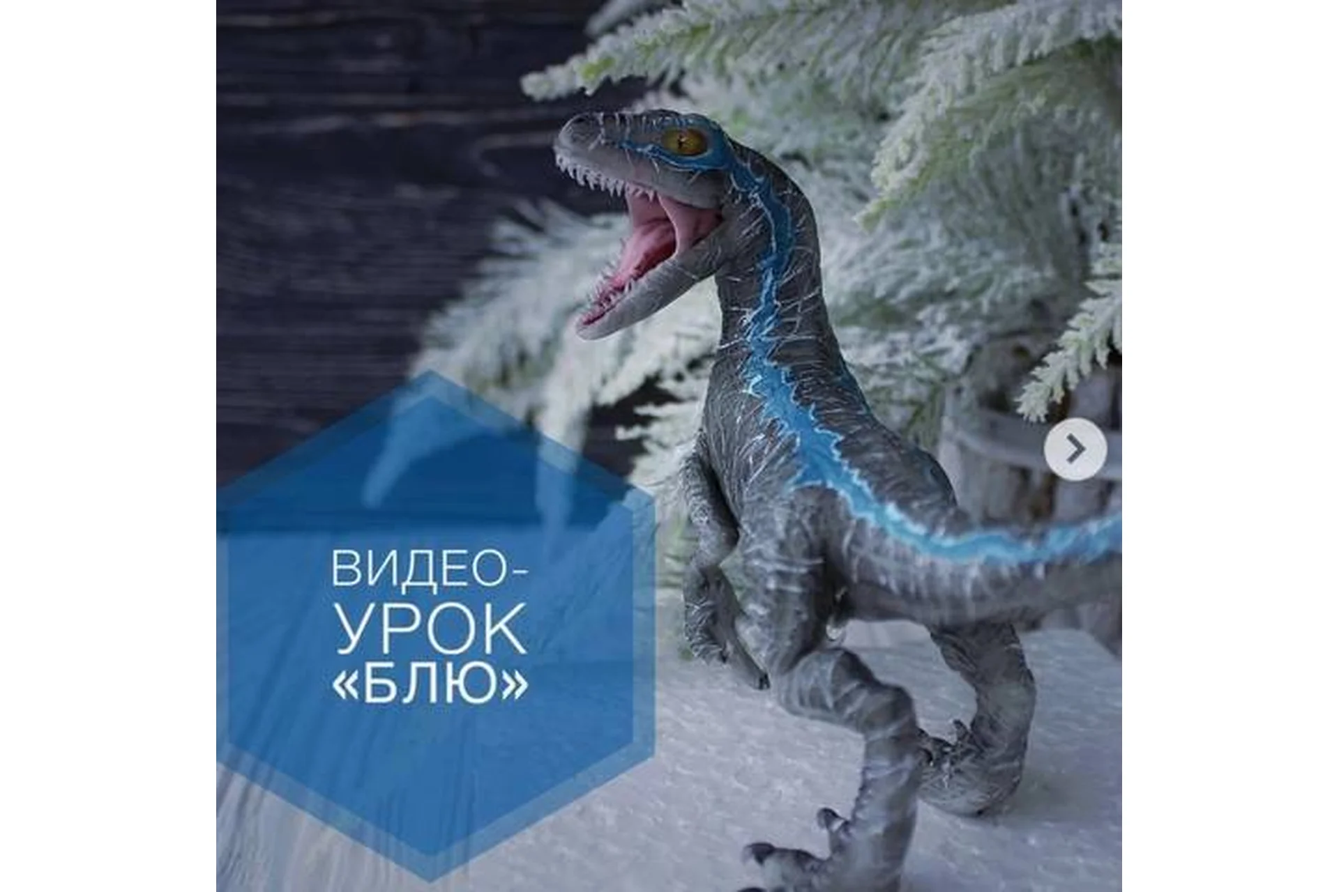 Сахарный декор «Блю» (Оксана Логачева), фото 1 из 1.