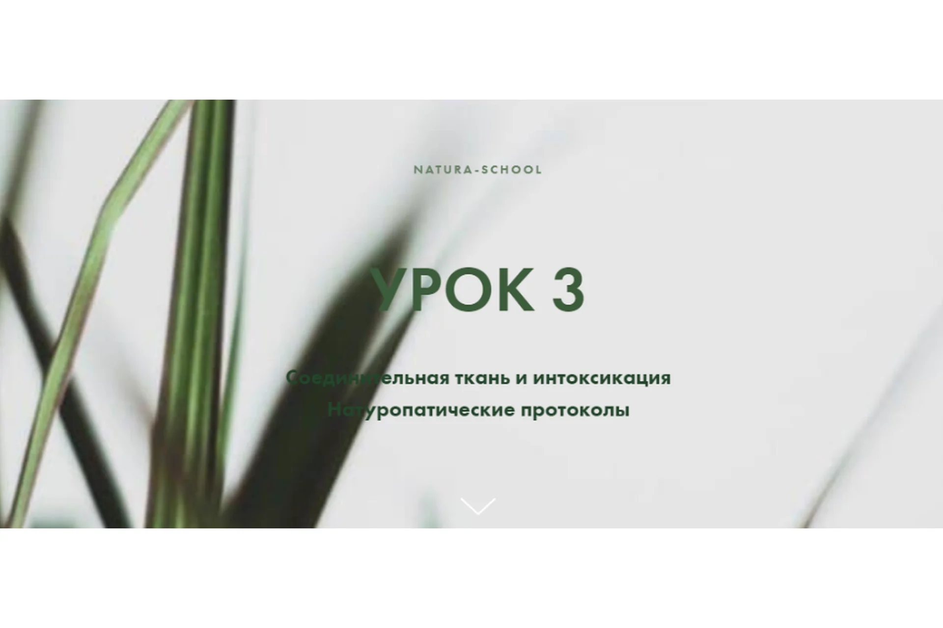 Урок 3. Соединительная ткань и интоксикация. Натуропатические протоколы. Практик (Олег Гитбиндер), фото 1 из 1.