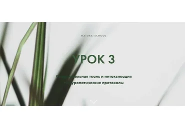 Урок 3. Соединительная ткань и интоксикация. Натуропатические протоколы. Практик (Олег Гитбиндер)