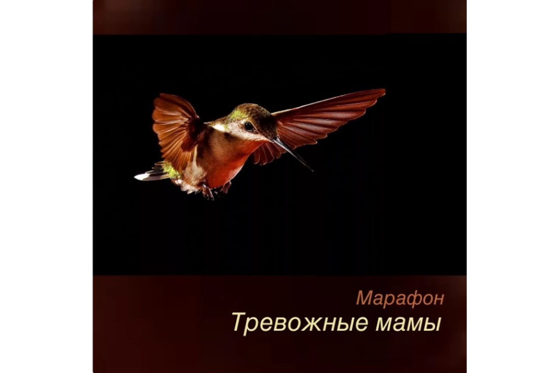 [Robo.Market] Тревожные мамы (Игорь Мочалов), фото 1 из 1.