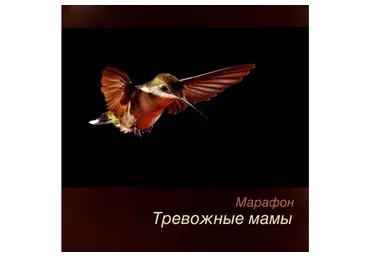 [Robo.Market] Тревожные мамы (Игорь Мочалов)