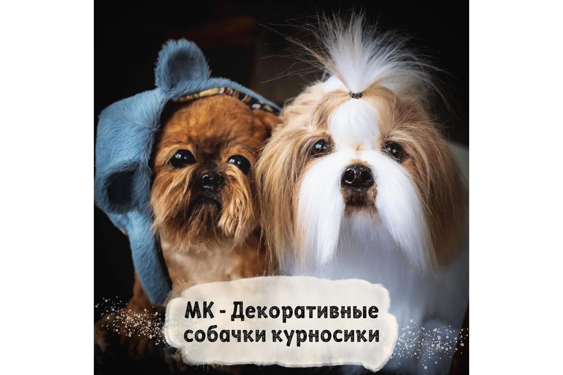 Декоративные собачки курносики (Янина Линк), фото 1 из 1.