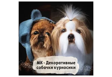 Декоративные собачки курносики (Янина Линк)