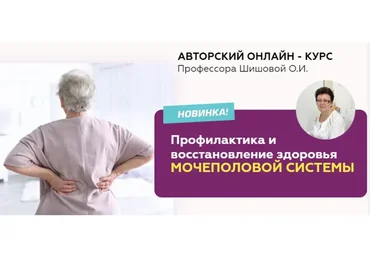 Профилактика и восстановление здоровья мочеполовой системы (Ольга Шишова)
