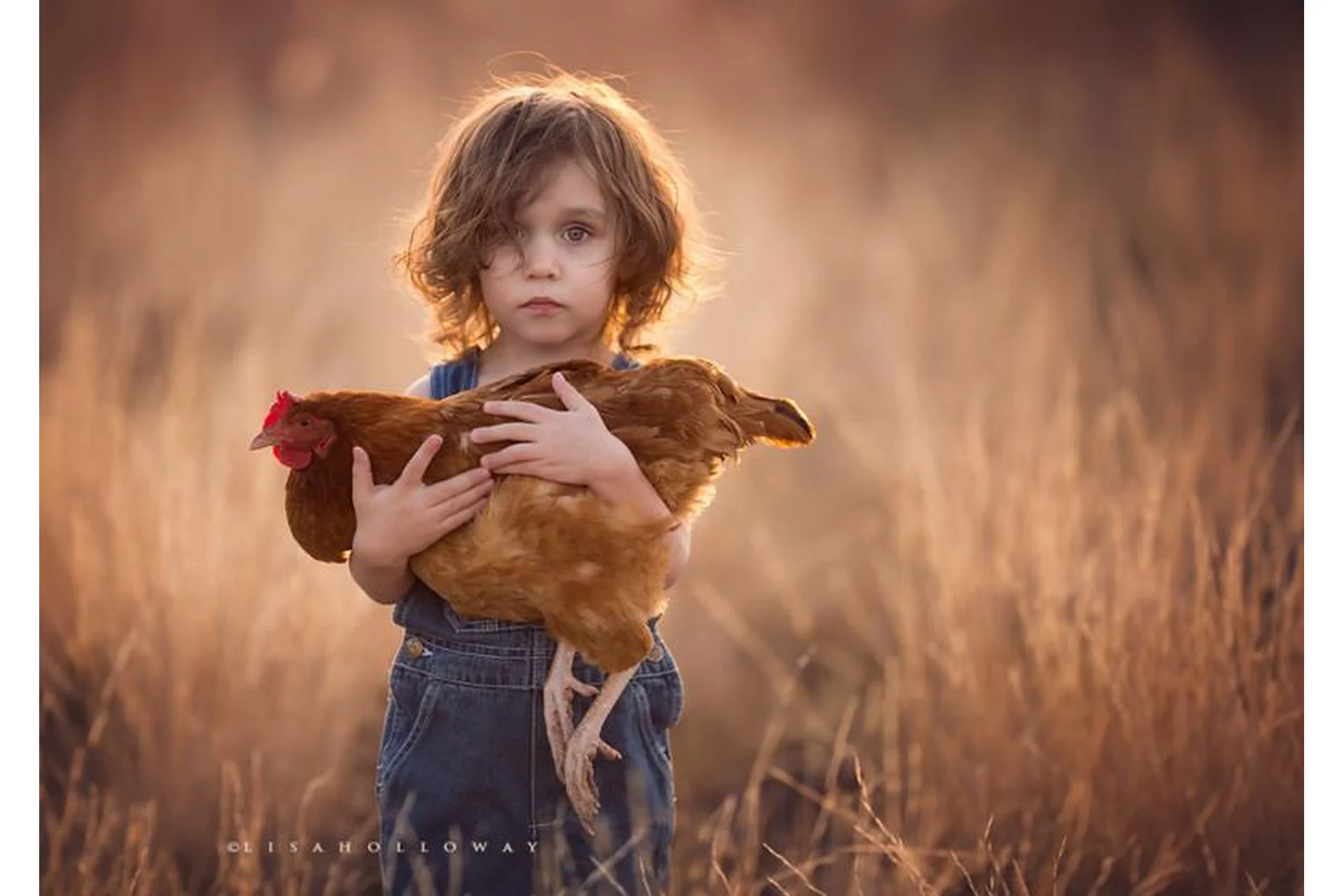 Обработка фотографий, на английском (Lisa Holloway), фото 1 из 1.