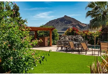 Создай проект своего сада. Тариф «Самостоятельный» (Ульяна Петрова)