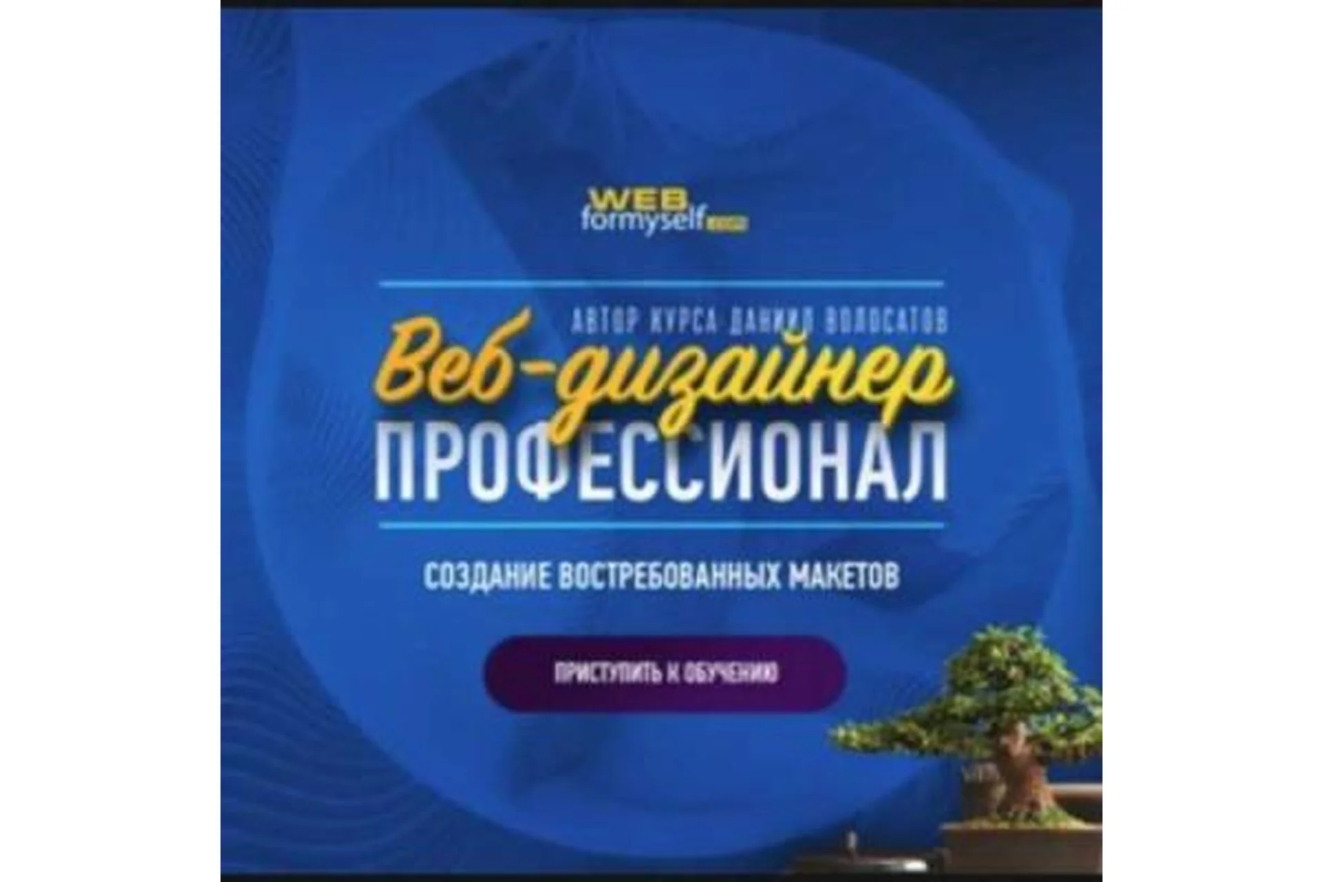 [WebForMySelf] Веб-дизайнер - профессионал. Создание востребованных макетов (Даниил Волосатов), фото 1 из 1.