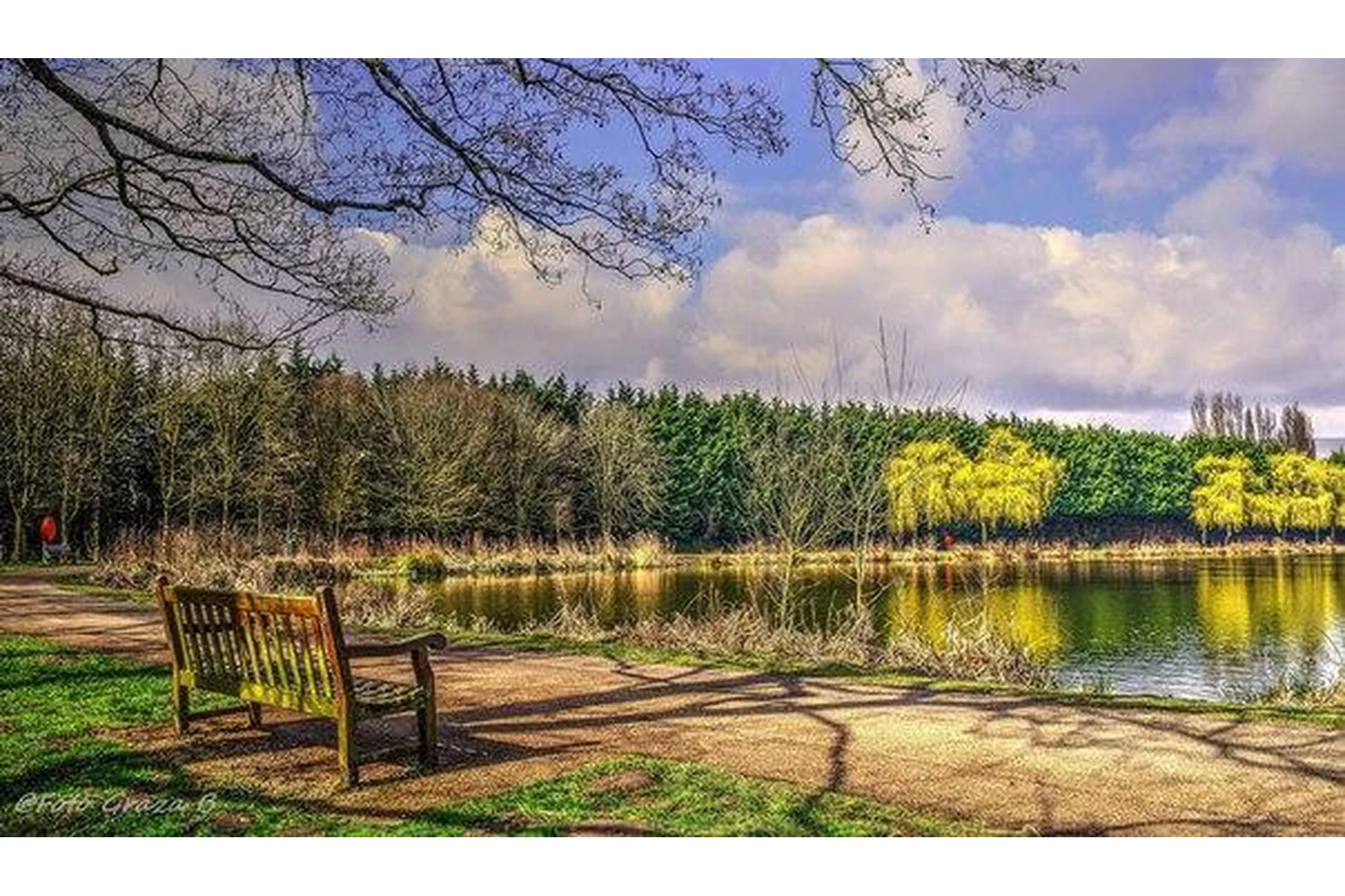 Мгновенные трансформации. Жизнь без раскопок. Пульт управления жизнью (Виолетта Коняхина), фото 1 из 1.