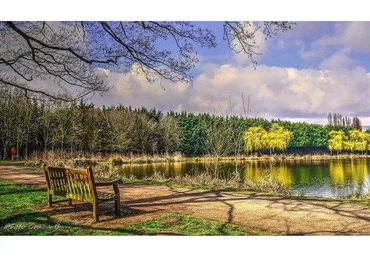 Мгновенные трансформации. Жизнь без раскопок. Пульт управления жизнью (Виолетта Коняхина)