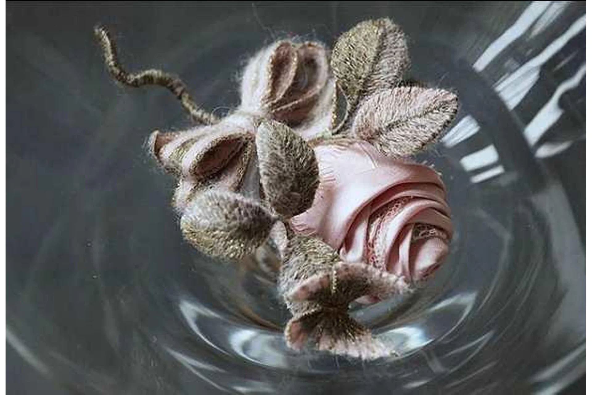 Роза (Инга Марита), фото 1 из 1.