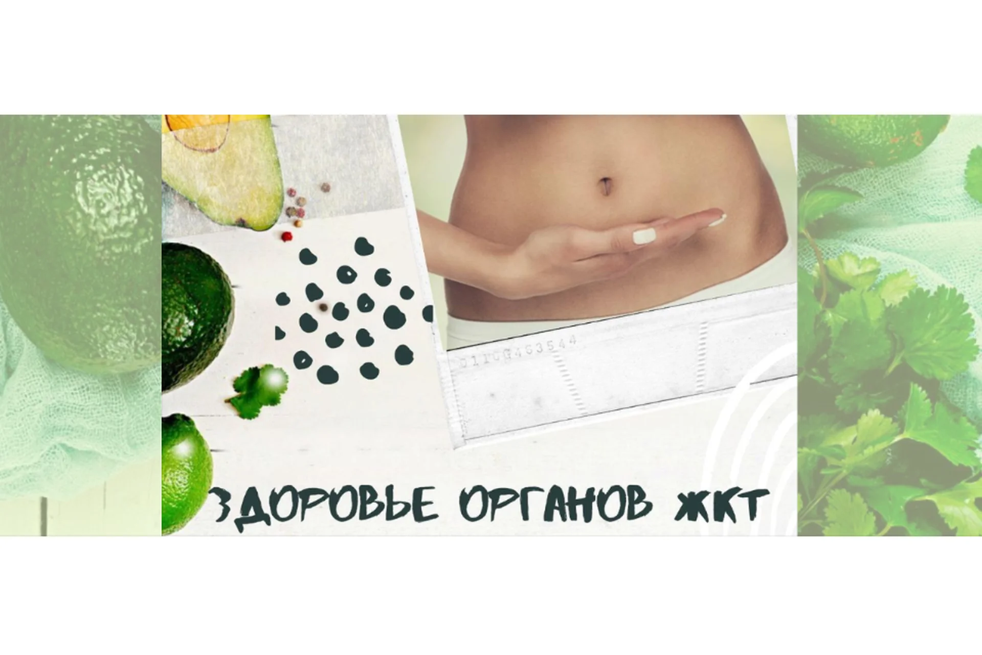 Здоровье органов ЖКТ (Светлана Литвиненко), фото 1 из 1.