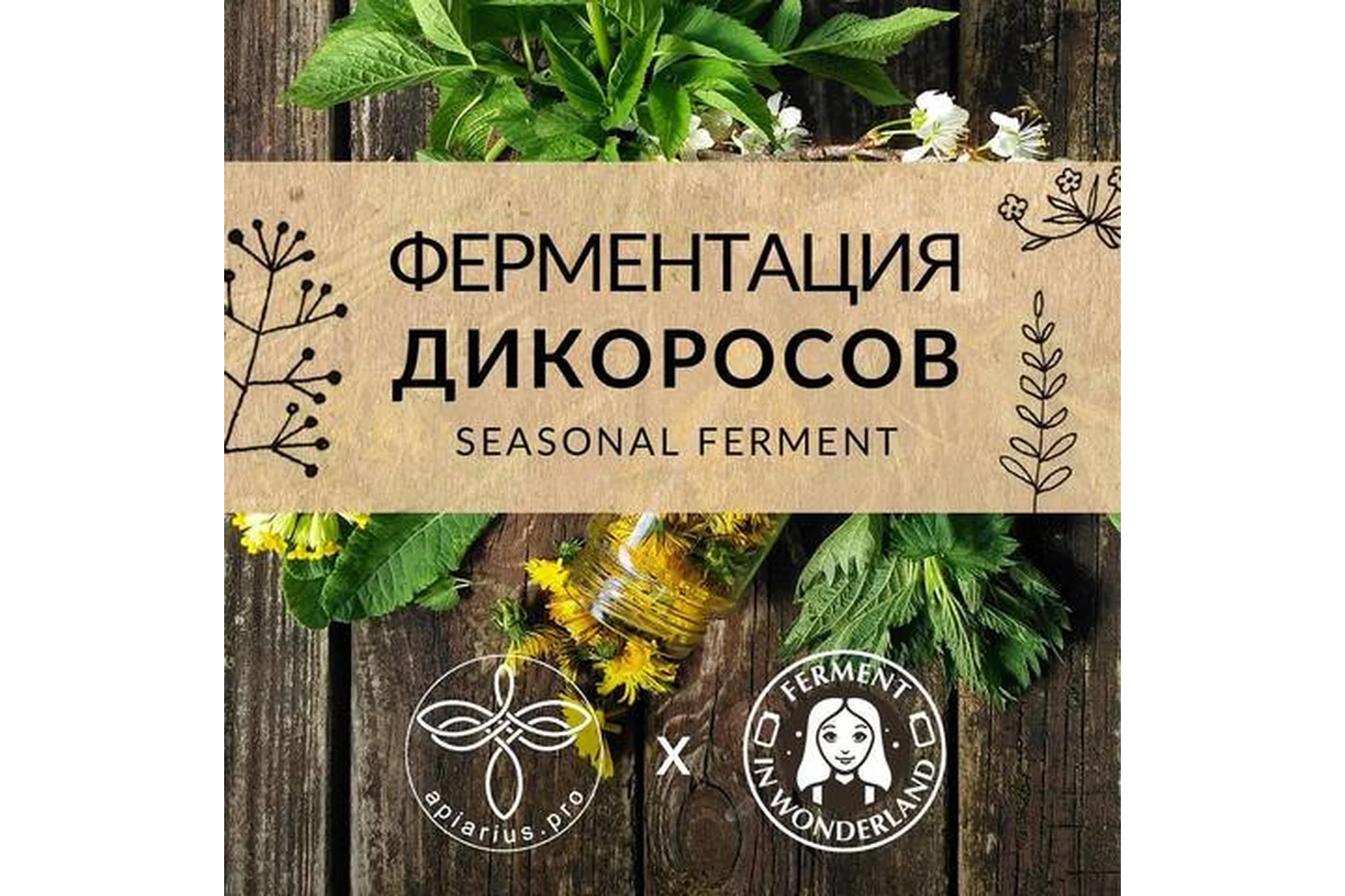 [Ferment in wonderland] Ферментация дикоросов (Ольга Думкина), фото 1 из 1.