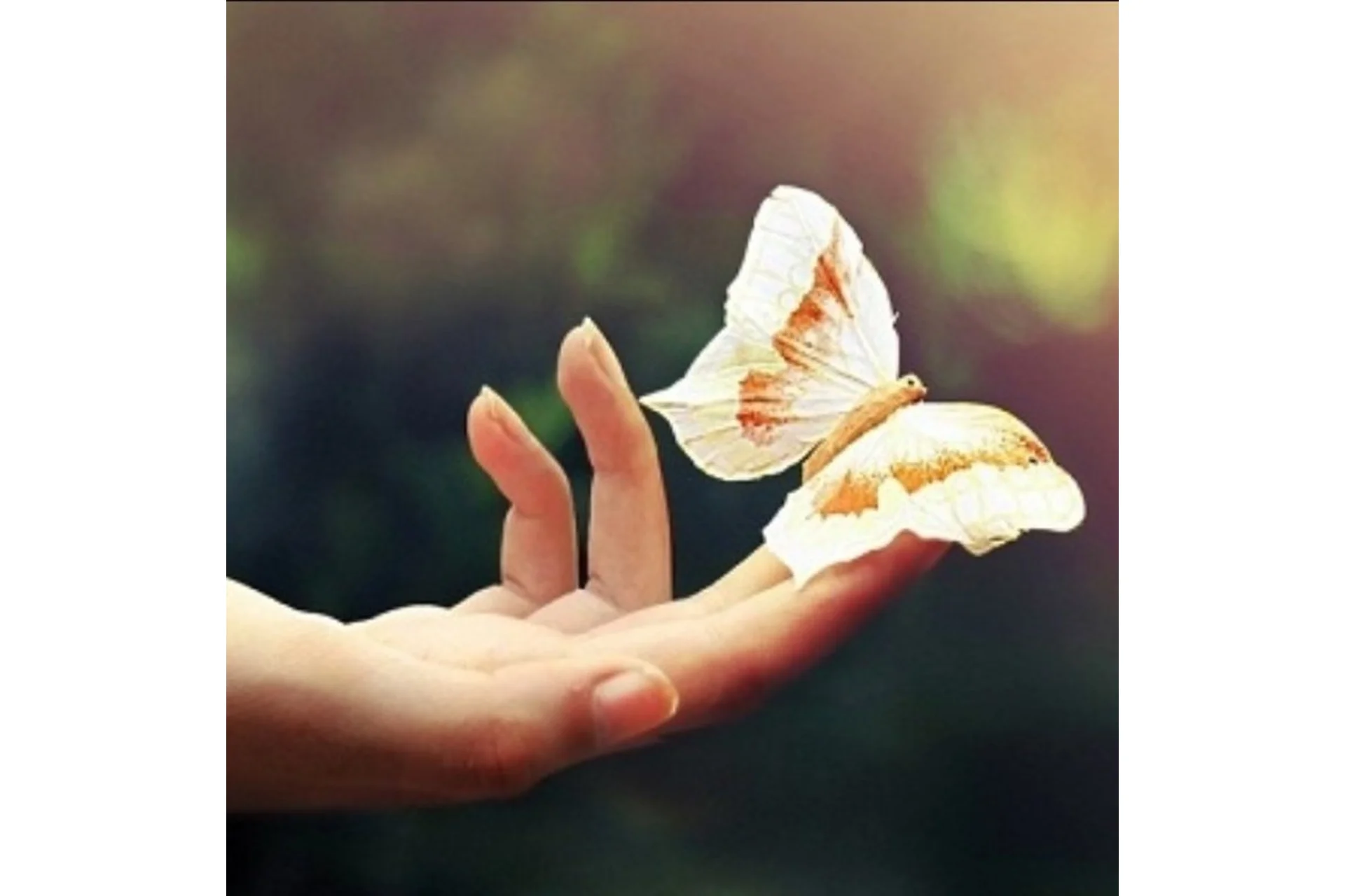 [ИПиКП] Базовые технологии эриксоновского гипноза. Полный цикл, фото 1 из 1.