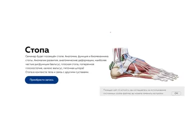 [NL-School] Cтопа (Дмитрий Кущик, Григорий Крутов)