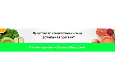 Тотальная Чистка (Елена Шведова)