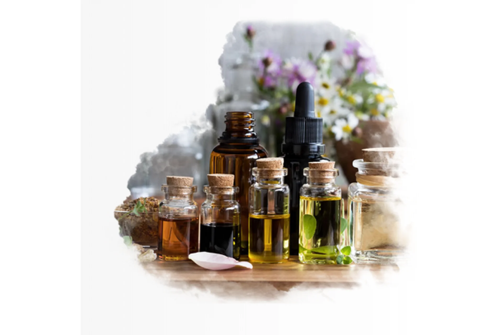 АромаПсихология. Модуль 4 (Ольга Коробейникова), фото 1 из 1.