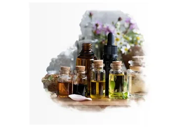 АромаПсихология. Модуль 4 (Ольга Коробейникова)