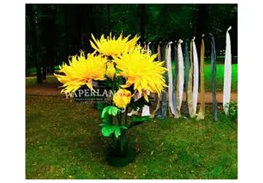 Хризантема (Юля Прохорова)