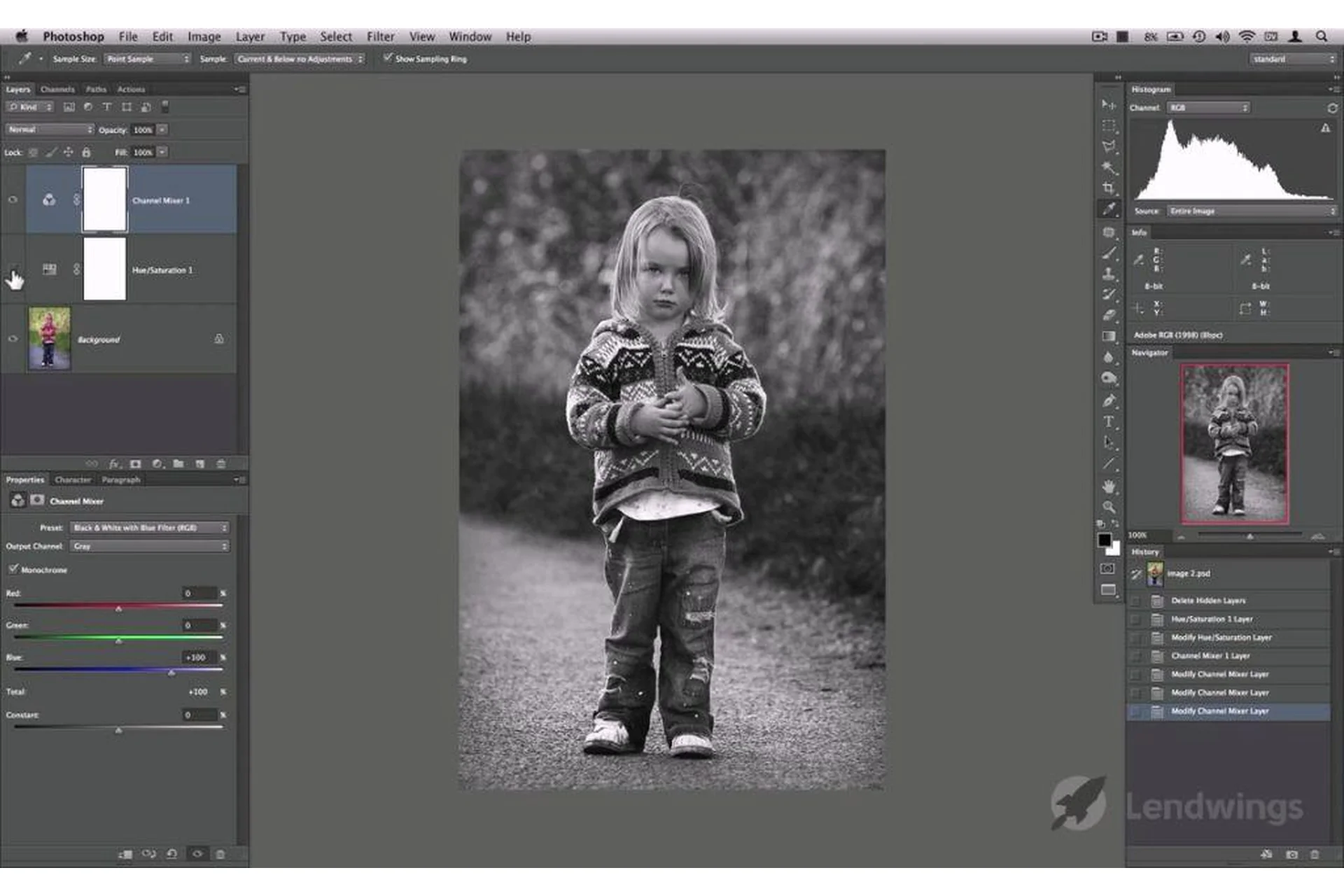 Искусство черно-белой фотографии (David J. Nightingale), фото 1 из 1.