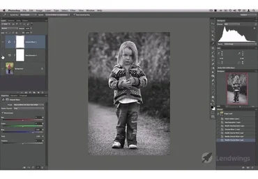 Искусство черно-белой фотографии (David J. Nightingale)