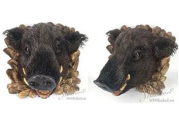 «Кабан» трофей (Татьяна Шмелева)