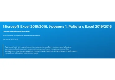 [Специалист] Microsoft Excel 2019/2016. Уровень 1. Работа с Excel 2019/2016 (Павел Пронкин)