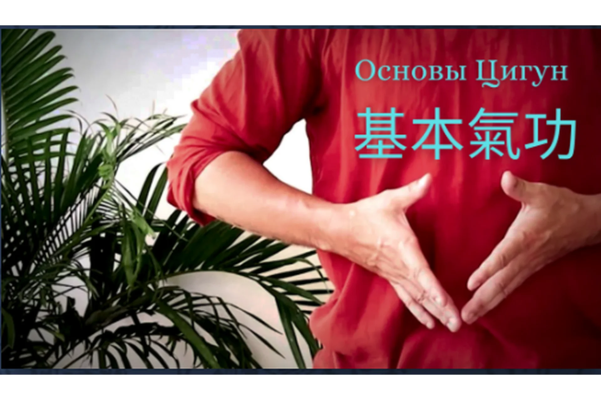 [Академия внутренних искусств] Основы Цигун (Дамо Митчелл), фото 1 из 1.