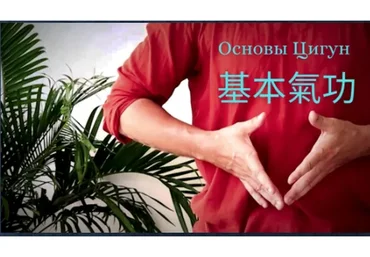 [Академия внутренних искусств] Основы Цигун (Дамо Митчелл)