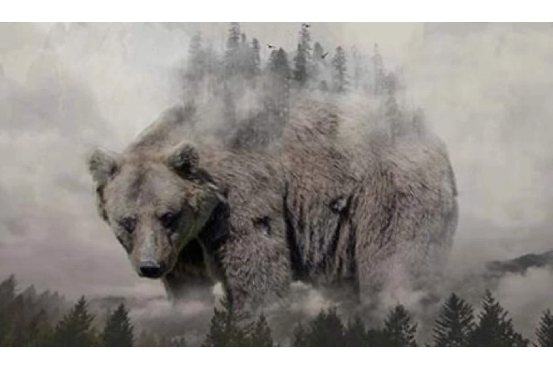 [Школа Юниверс] Adobe Photoshop СС. Инструменты дизайнера (Александр Сераков, Инара Агапова), фото 1 из 1.