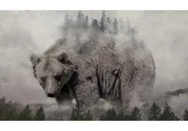 [Школа Юниверс] Adobe Photoshop СС. Инструменты дизайнера (Александр Сераков, Инара Агапова)