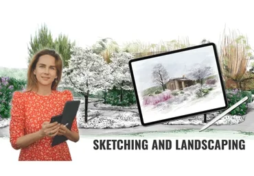 Техника живых скетчей. Тариф Профи (Екатерина Шульце)