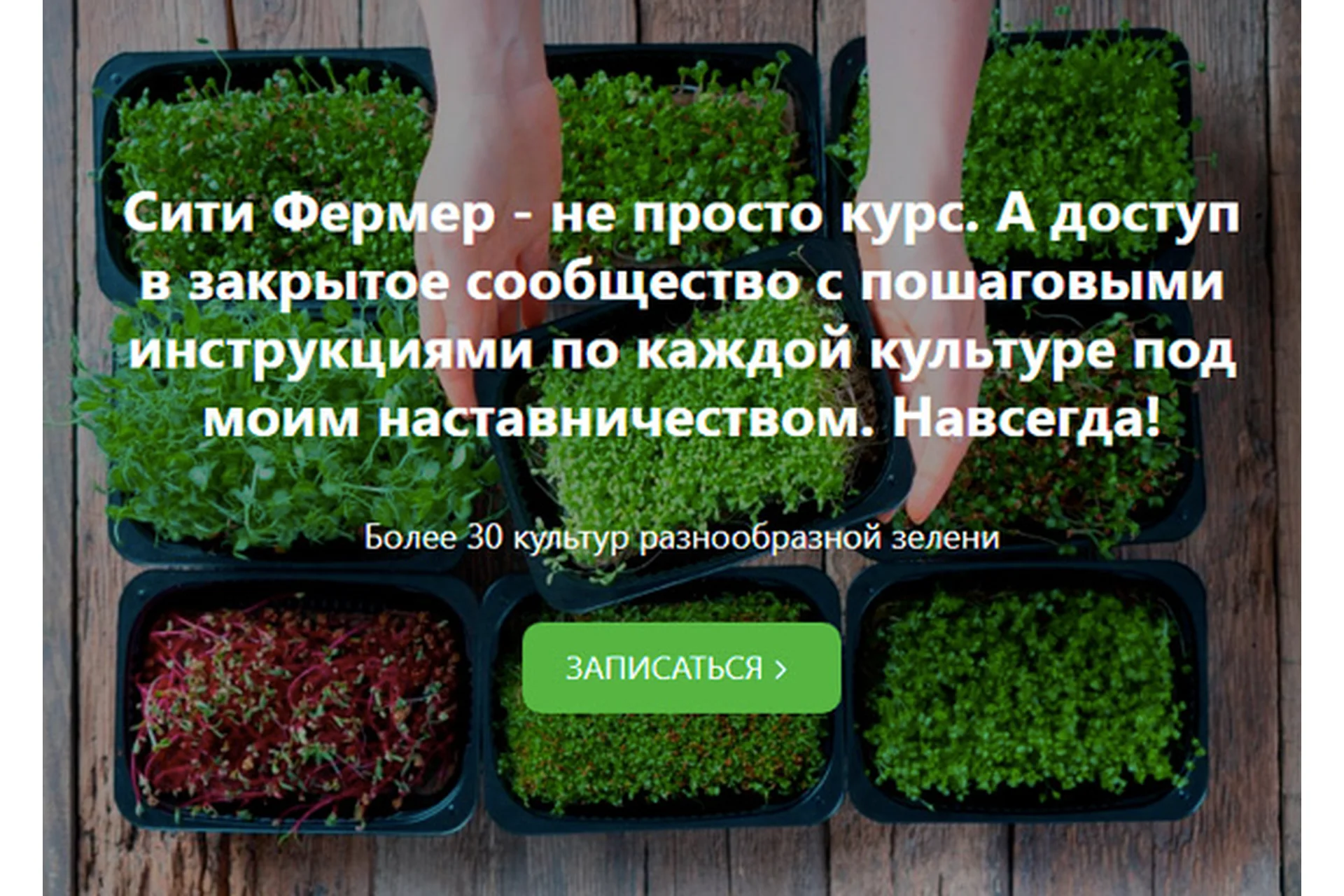 Сити Фермер: Свежая микрозелень у вас дома за одну неделю (Михаил Попов), фото 1 из 1.