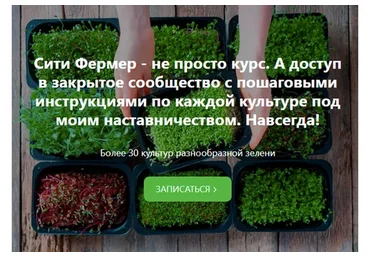 Сити Фермер: Свежая микрозелень у вас дома за одну неделю (Михаил Попов)