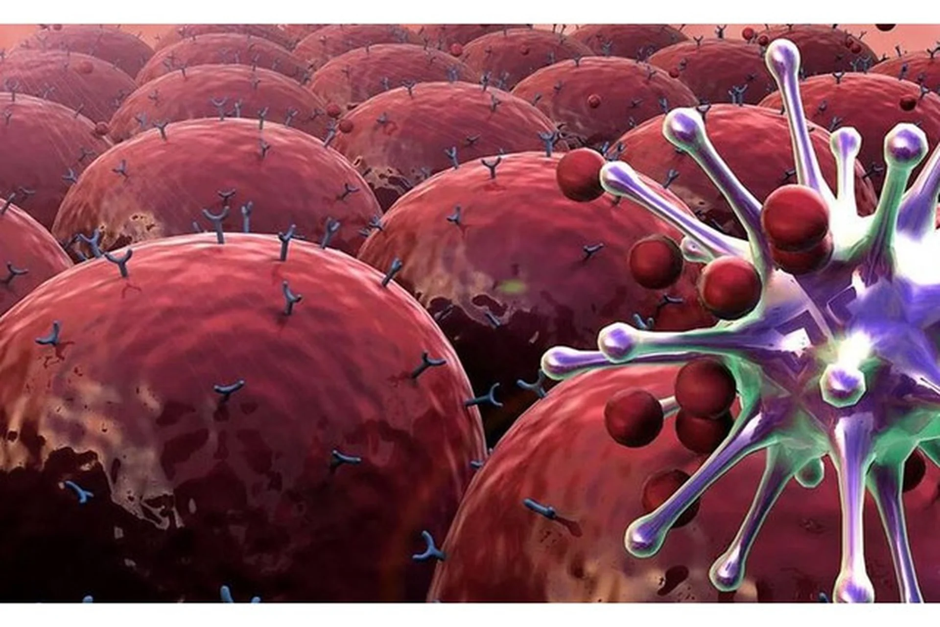 [Колледж Вейдера] Восстановление после ковид (Елена Рябинкова, Владимир Васильев), фото 1 из 1.