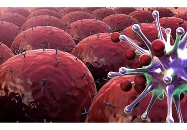 [Колледж Вейдера] Восстановление после ковид (Елена Рябинкова, Владимир Васильев)