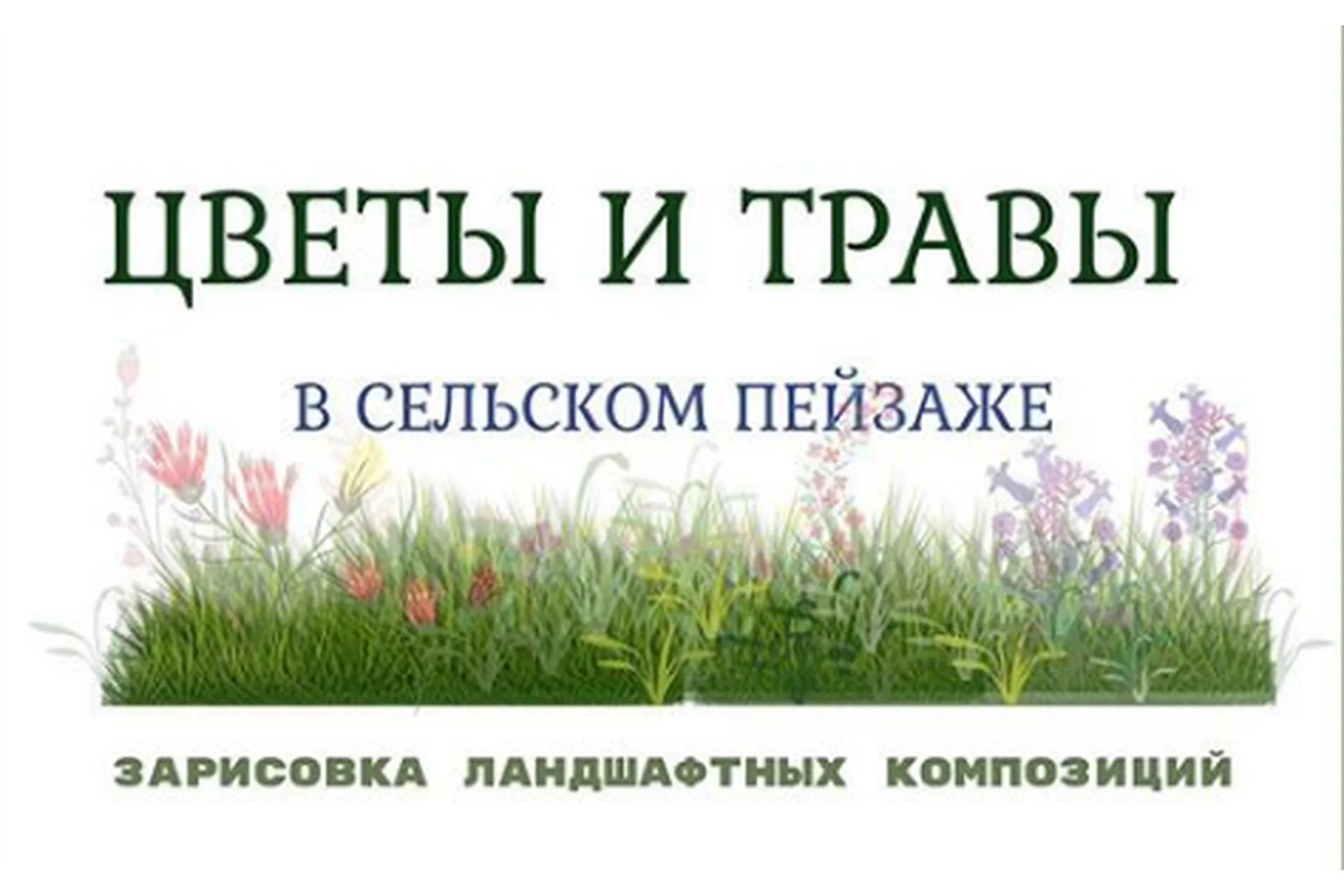 Цветники и травы. Ландшафтный скетчинг (Екатерина Като Иванникова), фото 1 из 1.