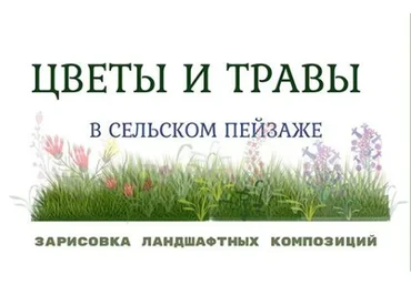 Цветники и травы. Ландшафтный скетчинг (Екатерина Като Иванникова)