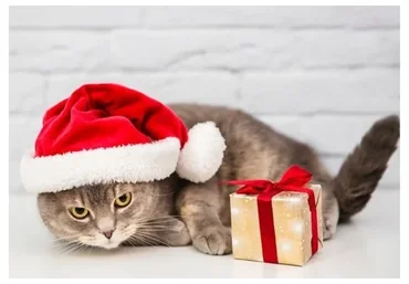 [Crowstore] Блоки упражнений для функциональной тренировки (Анна Воронина)