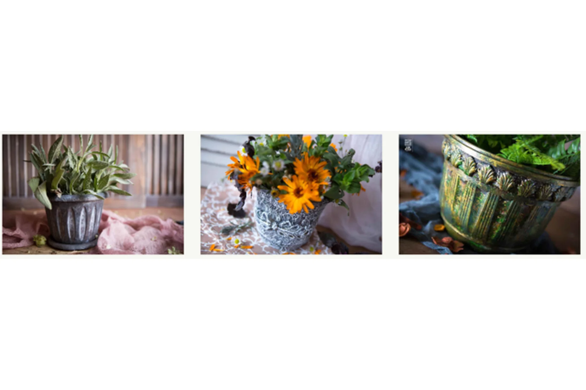 Декор кашпо. Тариф «Комплект из трех мастер-классов» (Елена Якимова), фото 1 из 1.