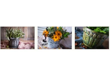 Декор кашпо. Тариф «Комплект из трех мастер-классов» (Елена Якимова)